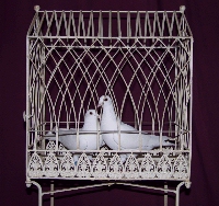 dove cage