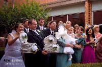 Wedding Dove Release