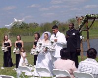 Wedding Dove Release