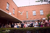 Wedding Dove Release