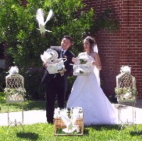 Wedding Dove Release