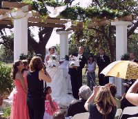 Wedding Dove Release