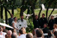 Wedding Dove Release