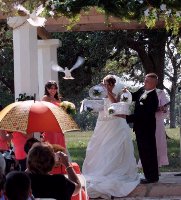 Wedding Dove Release