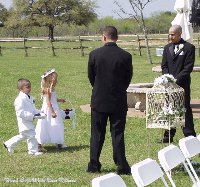 Wedding Dove Release