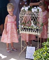 Wedding Dove Release